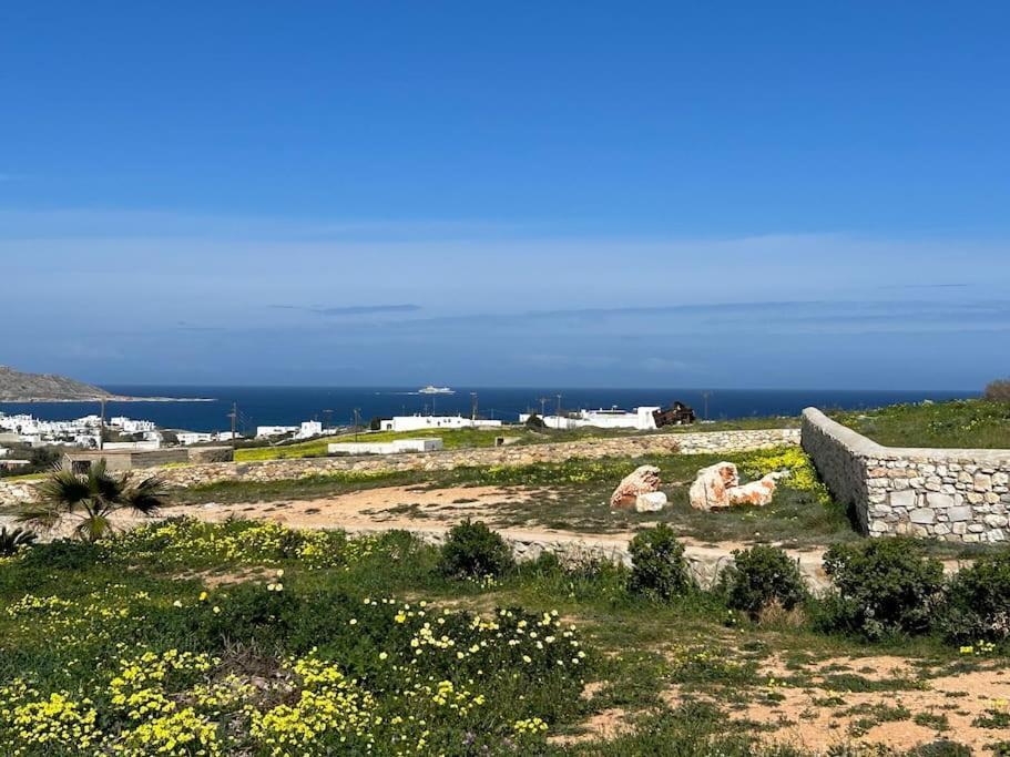 Aretousa Residence In Naoussa, Paros Esterno foto