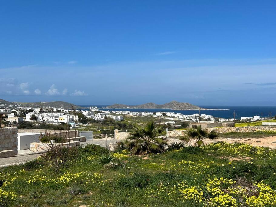 Aretousa Residence In Naoussa, Paros Esterno foto